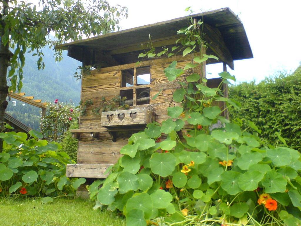 Haus Elfi Fiegl Apartment Oetz Exterior foto